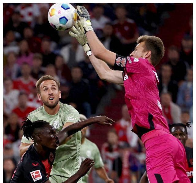 阿森纳决赛大胜利雅得新月，赵继伟砍下18记关键球，全场沸腾的简单介绍